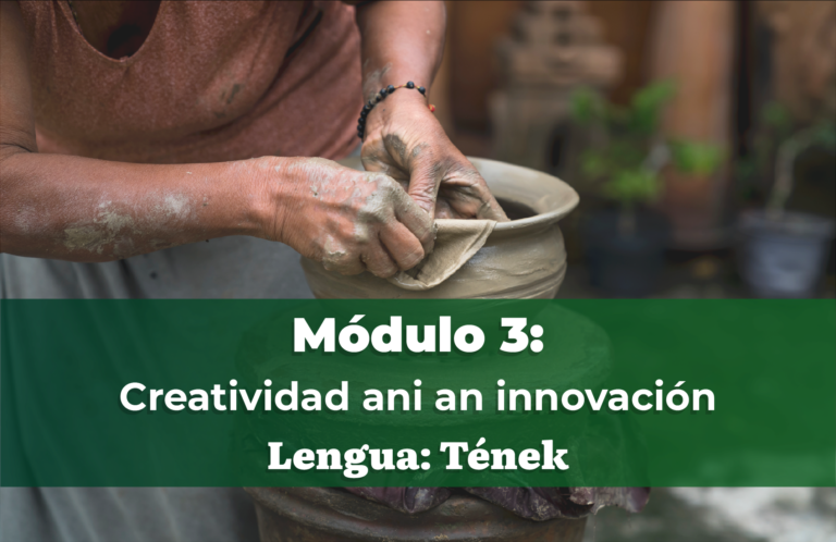 MÓDULO 3: Creatividad ani an innovación