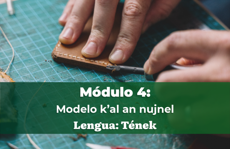 MÓDULO 4: Modelo k’al an nujnel.