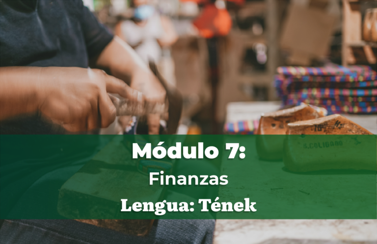 MÓDULO 7: Finanzas