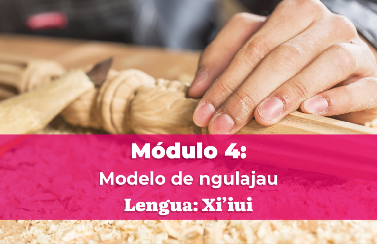 MÓDULO 4: Modelo de ngulajau