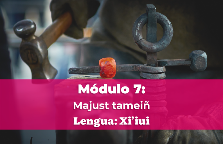 MÓDULO 7: Majust tameiñ.